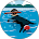 Google profile image for Ned Morgens