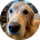 Google profile image for Michael Horst