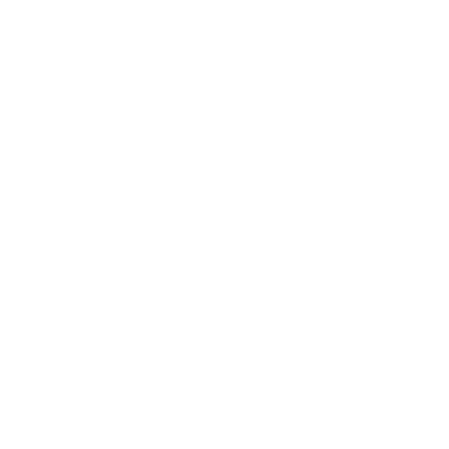 Paid search channel graphic within the holistic search strategy