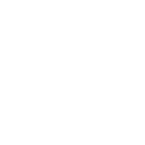 Paid social channel graphic within the holistic search strategy